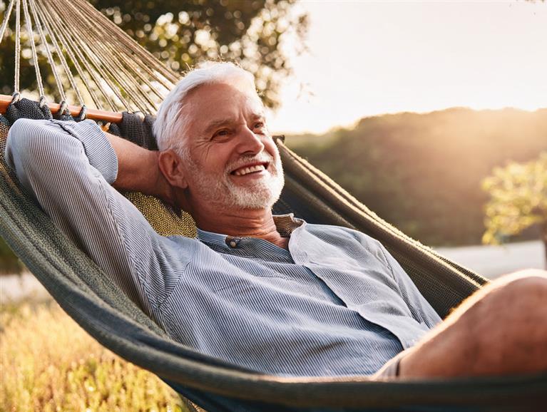 Dolf Wietzema Menkhorst, NL Pensioen
