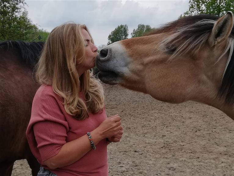 Leoni Springer, Paard & Balans